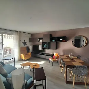 Petit Paradis Hyper Centre 3 Parking Clim Wifi Terrasse Appartement